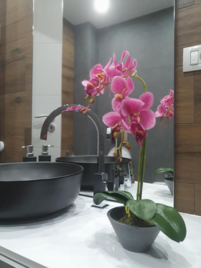 Ale House Apartment Орадеа Екстериор снимка